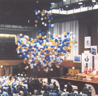 250 adet balon yamuru hizmeti 