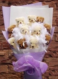 Ankara sevenlere �zel ghediyelik 11 adet ay�c�ktan pelu� oyuncak demeti 